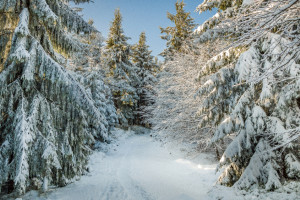 Во Владимирской области 43-летнего мужчину с усами нашли живым