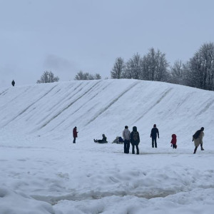 Прогноз погоды во Владимирской области на 14 января 2026 года