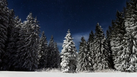 Синоптики дали прогноз на первую рабочую неделю во Владимирской области 