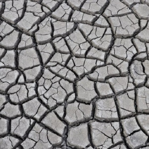 Владимирская область вошла в число засушливых регионов страны