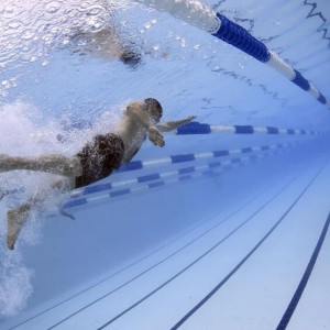 Во Владимире отремонтируют гимназию и бассейн