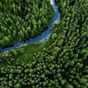 Во Владимирской области нашли двух пропавших женщин