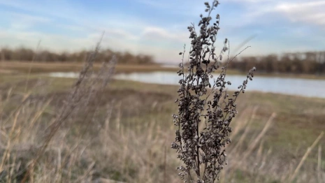 Прогноз погоды во Владимирской области на 23 ноября 2025 года