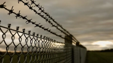 Пропавшего во Владимирской области Алексея Навального* нашли в колонии на Ямале