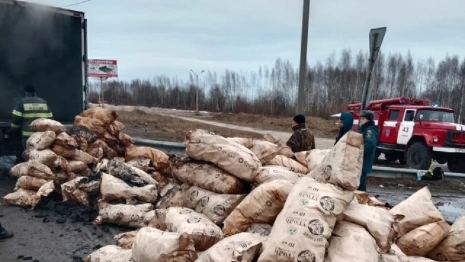 Во Владимирской области загорелась фура с углем 