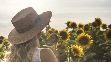 Экстремальная жара покинет Владимирскую область