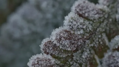 Во Владимирской области рабочая неделя начнется с мороза