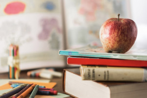 Вопрос о переводе единственных 14 учеников из сельской школы в Камешково остался открытым