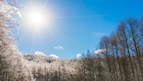 Во Владимирской области в первые дни весны придет потепление