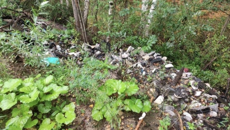 В Судогде обнаружили две стихийные свалки