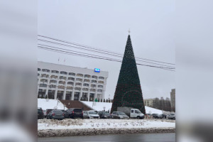 Во Владимире заново установили елку у Белого дома