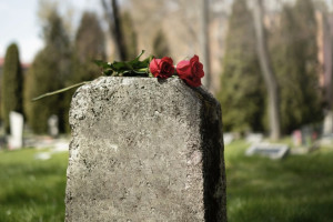 В Юрьев-Польском районе устроили свалки на двух кладбищах