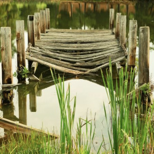 Во Владимире проект благоустройства парка у ДТЮ подорожал до 15 млн рублей