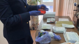 Во Владимире группа закладчиков вовлекла в преступление 16-летнюю девушку