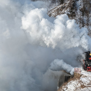 Поезд Деда Мороза не заедет во Владимирскую область