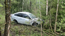 За неделю в ДТП на дорогах Владимирской области погибли 3 человека