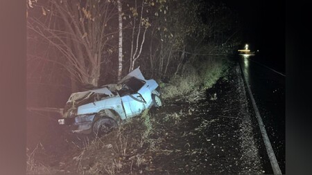 На дороге во Владимирской области водитель ВАЗ врезался в дерево