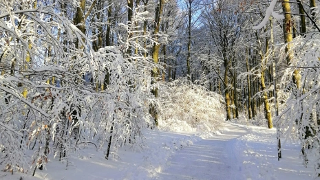 Прогноз погоды во Владимире и области на 3 января