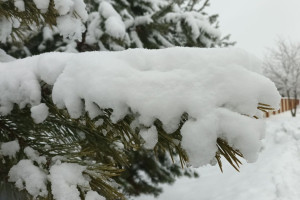 Прогноз погоды во Владимире и области на 15 января