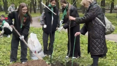 В Центральном парке Владимира высадили 10 красных дубов