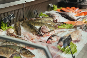 За полгода во Владимирской области сняли с прилавков 7 кг рыбы и морепродуктов