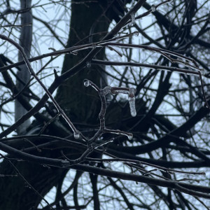 Во Владимирской области снова пройдут ледяные дожди