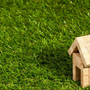 Во Владимирской области тело задушенной женщины закопали на дачном участке