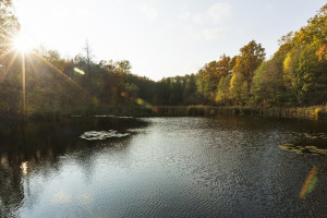 Прогноз погоды во Владимире и области на 10 апреля