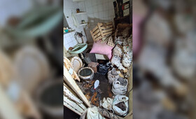 Появились фото заваленной хламом и затопленной экскрементами квартиры во Владимире