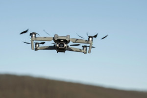 Погибшая в Александровском районе от удара БПЛА семья была многодетной