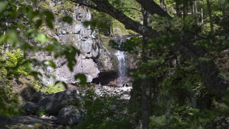 В нацпарке «Земля леопарда» открыта новая экотропа