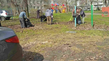 В общегородском субботнике во Владимире поучаствовали 24 тыс. человек