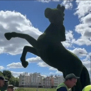 Во Владимире на зиму убрали часть топиарных фигур