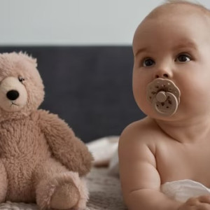 Во Владимирской области родились Луна и Одиссей