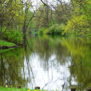 Мэра Владимира попросили сохранить противотанковый ров времен Великой Отечественной войны