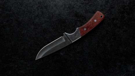 Житель Александрова зарезал приятеля из-за отказа налить водки