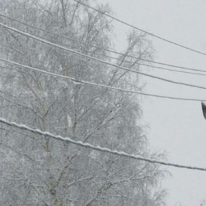 Владимирцев предупредили о мокром снеге 2 мая
