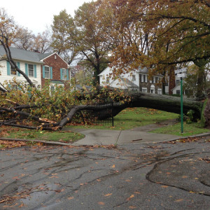 Владимирцев предупредили об усилении ветра до 20 м/с