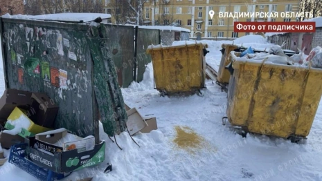 Общественники возмутились мусорным коллапсом в Коврове