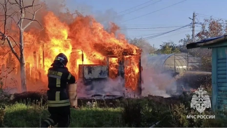Во Владимире едва не сгорели дачи в СНТ «Уварово»