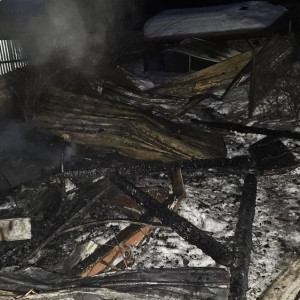 Во Владимирской области на пожаре погибла жившая с 9-ю собаками женщина