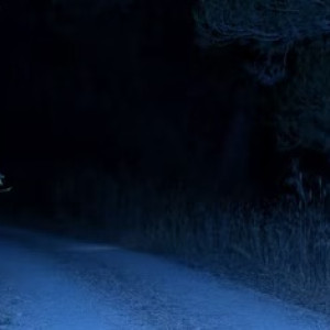 Пропавшего 22-летнего парня из Гусь-Хрустального нашли мертвым