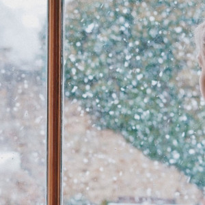 Выходные во Владимирской области будут пасмурными и теплыми