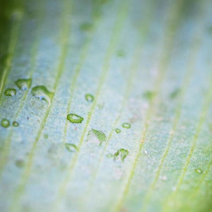 Во Владимирской области на рабочей неделе вернется 19-градусное тепло