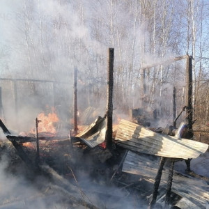 При пожаре в деревне под Петушками пострадал человек