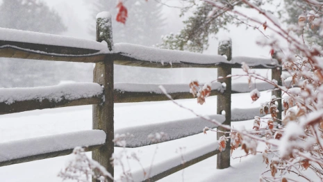 Прогноз погоды во Владимирской области на 13 февраля