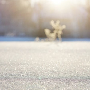 Прогноз погоды во Владимирской области на 17 декабря