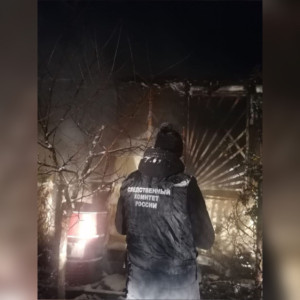 На пожаре в Петушинском районе погибла 11-летняя девочка