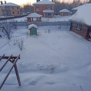 Принесший снегопад во Владимирскую область циклон Ольга назвали в Германии