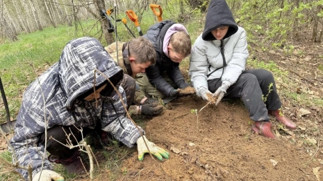 Владимирские поисковики обнаружили останки неизвестного солдата в Смоленской области
